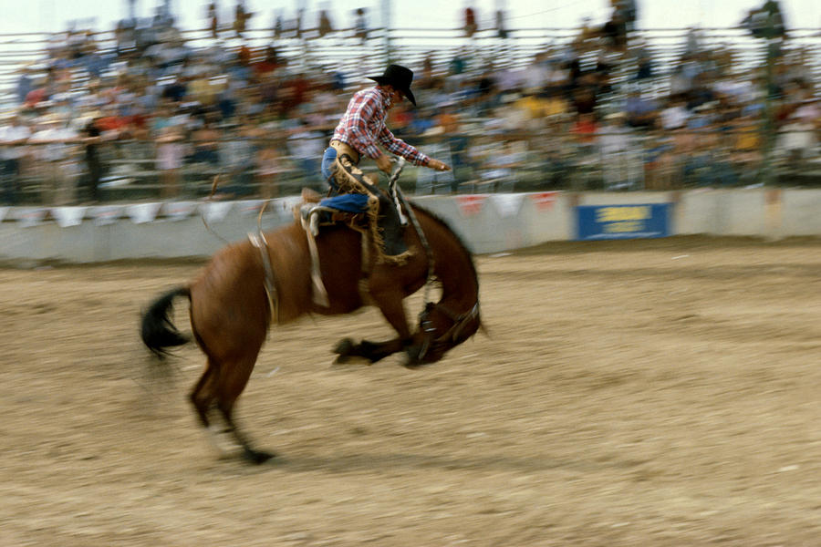 Ridem Cowboy Photograph by Jerry McElroy