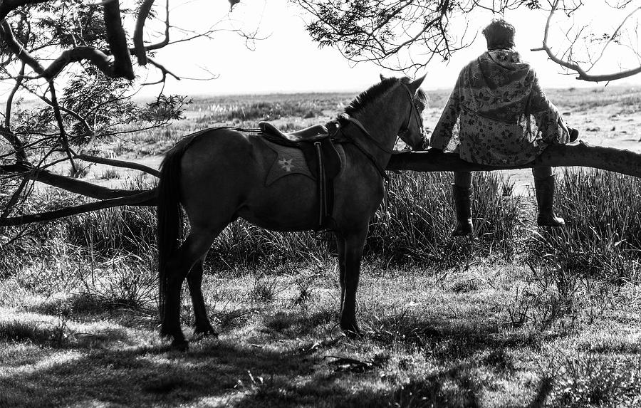 Rider and horse taking break Photograph by Pradeep Raja Prints