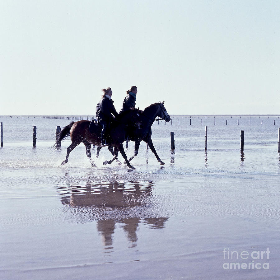 Rider on the beach Photograph by Heiko Koehrer-Wagner