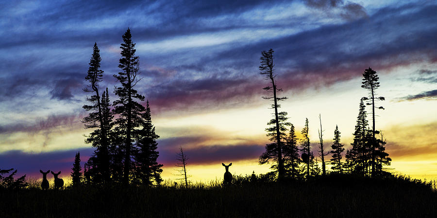 Sunset Photograph - Ridge Sihouette by Chad Dutson