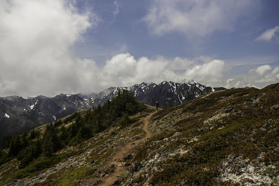Ridge Walking in the Olympic Mountains Photograph by Doug Scrima Ridge Walking in the Olympic Mountains Photograph by Doug Scrima