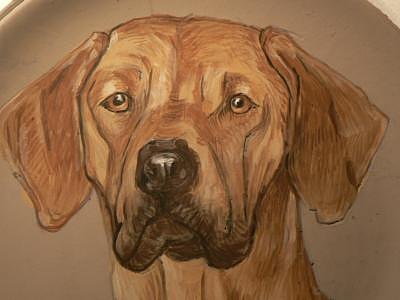 Dogs Painting - Ridgeback Zeke by Phillip Dimor Dogs Painting - Ridgeback Zeke by Phillip Dimor