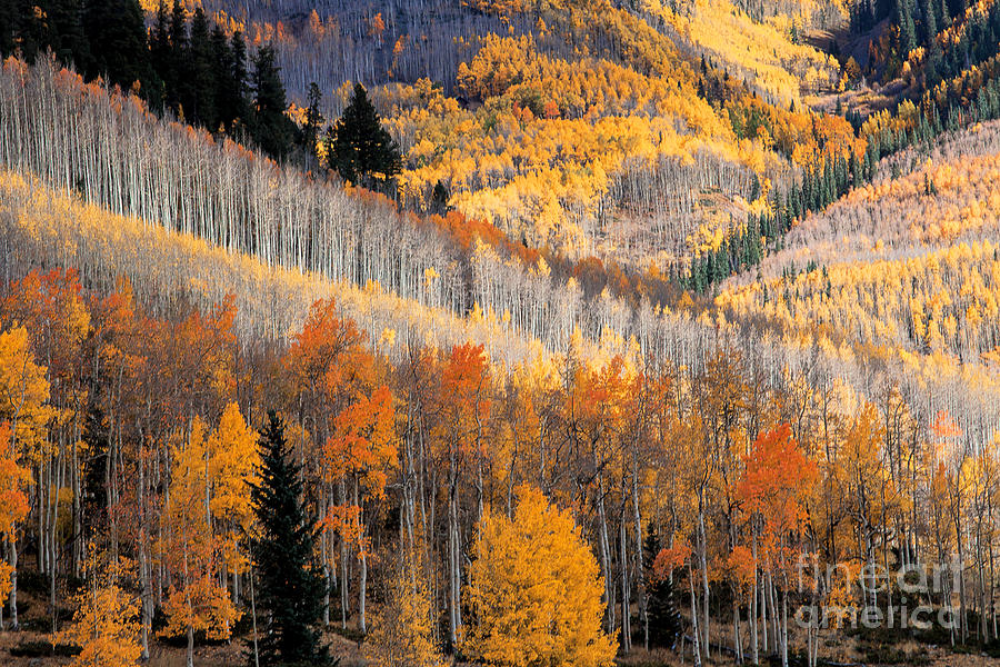Autumn Colors Photograph - Ridges by Jim Garrison
