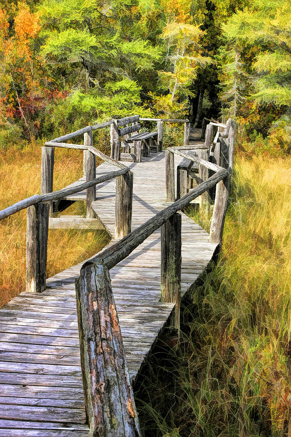 Ridges Sanctuary Crossing Painting by Christopher Arndt