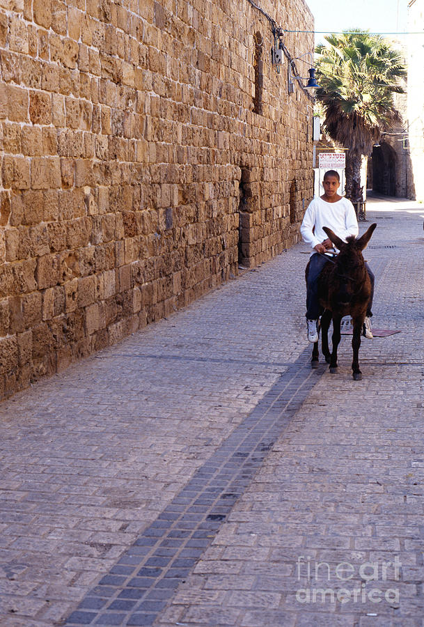 Riding a Donkey Photograph by Thomas R Fletcher