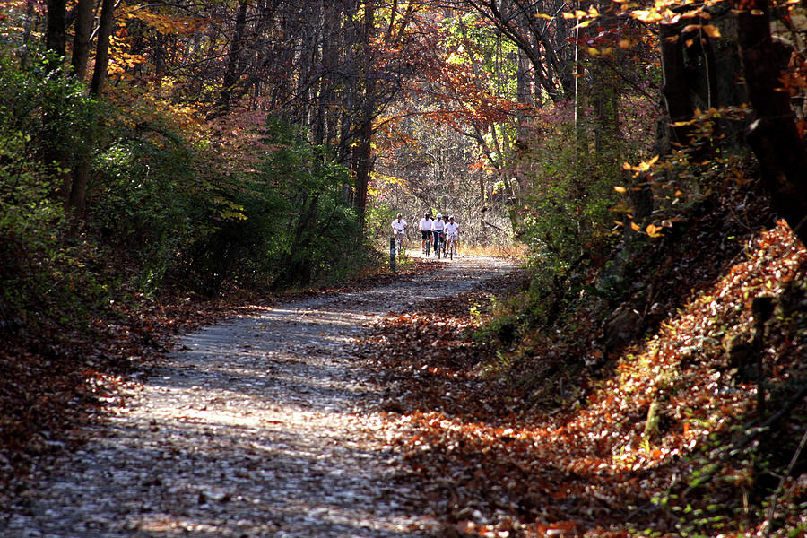 Riding bikes on park trail in autumn Photograph by Emanuel Tanjala