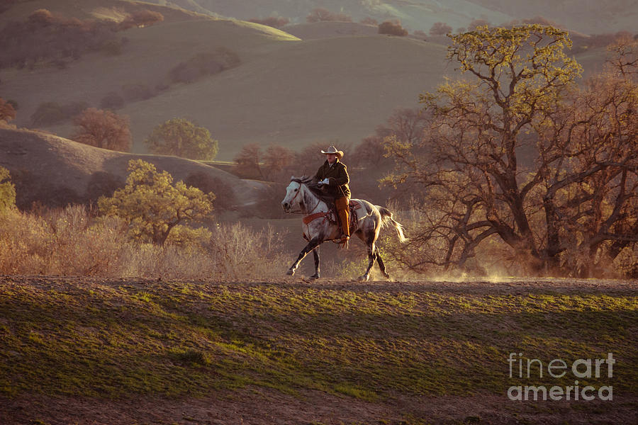 Horseback on Top of the Hill Photograph by Ana V Ramirez