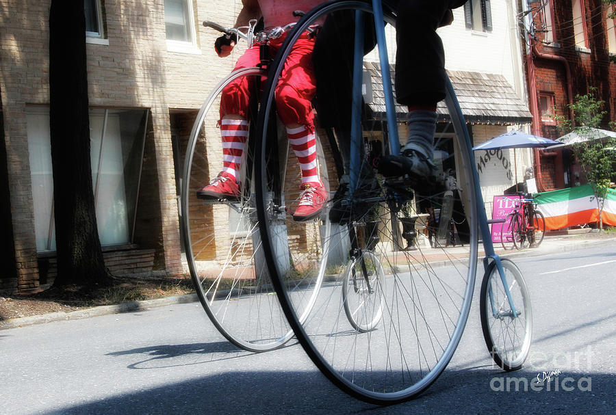 Bicycle Photograph - Riding High by Steven Digman