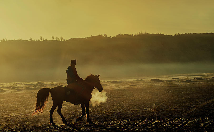 Riding his horse Photograph by Pradeep Raja Prints