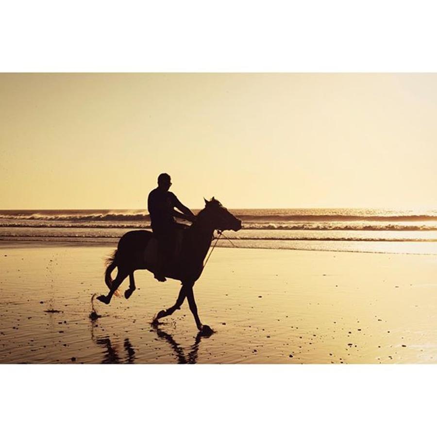 Horseriding Photograph - Riding On Sunshine.
#horseriding by Visual Creative In Lisbon