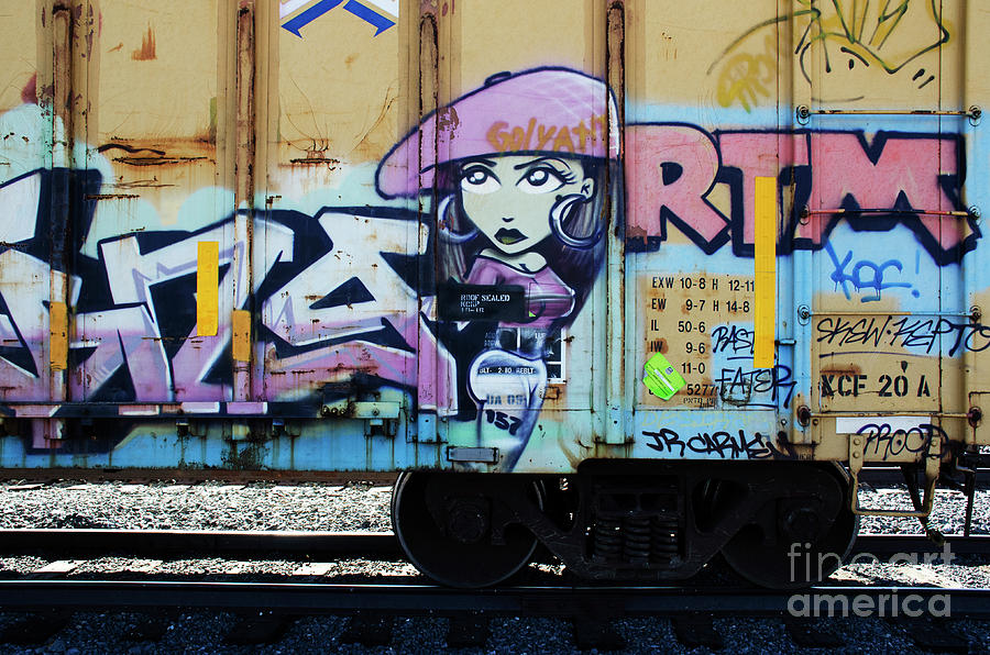 Riding The Rails Train Graffiti 2 Photograph by Bob Christopher