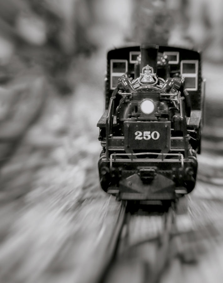 Riding The Railways Photograph by Elaine Malott