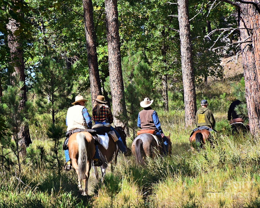 Riding Trails In The Black Hills Photograph by Kathy M Krause