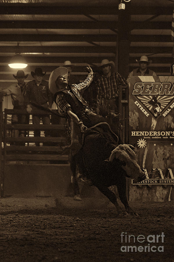 Rodeo Photograph - Riding with style by Dan Friend
