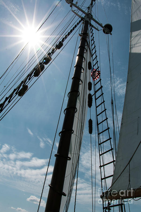 Rigging in the Sun Photograph by Mim White