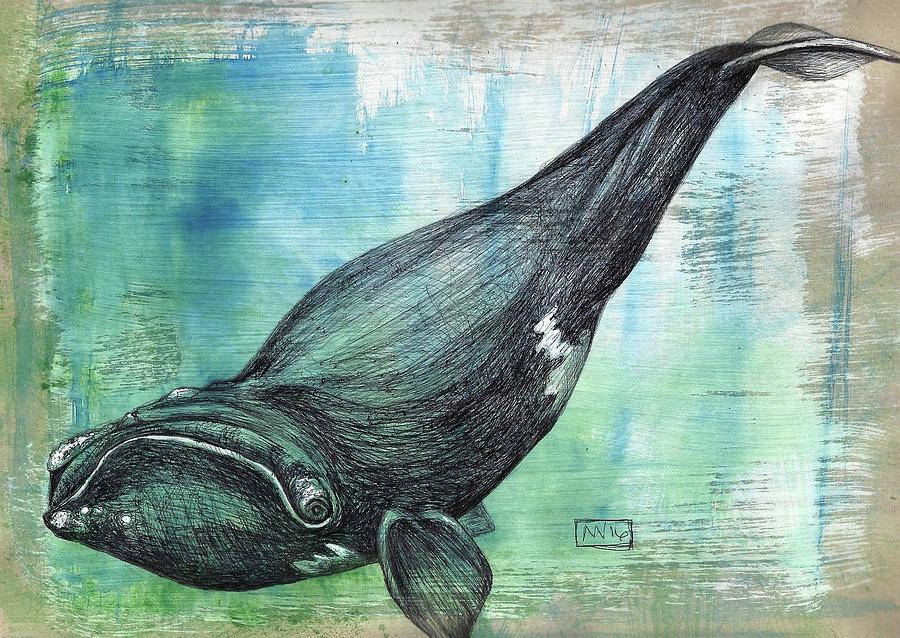 Right Whale Mixed Media by AnneMarie Welsh