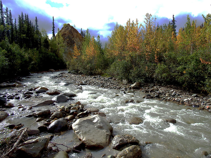 Riley Creek in Denali Photograph by Sue Henderson - Pixels