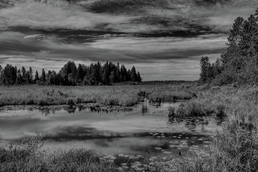 Riley Creek Marshland Black And White Photograph by Dale Kauzlaric