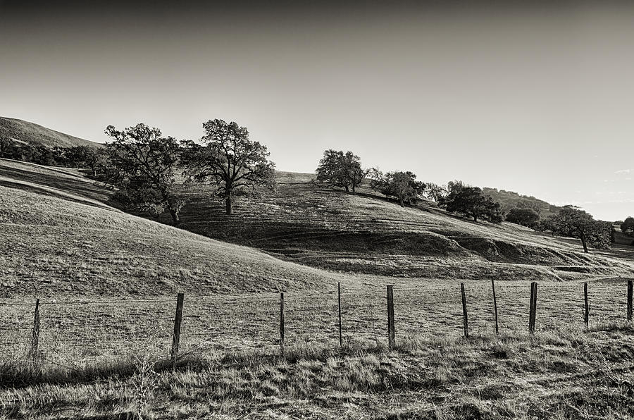 Rillin Hills Photograph by Joseph Hollingsworth