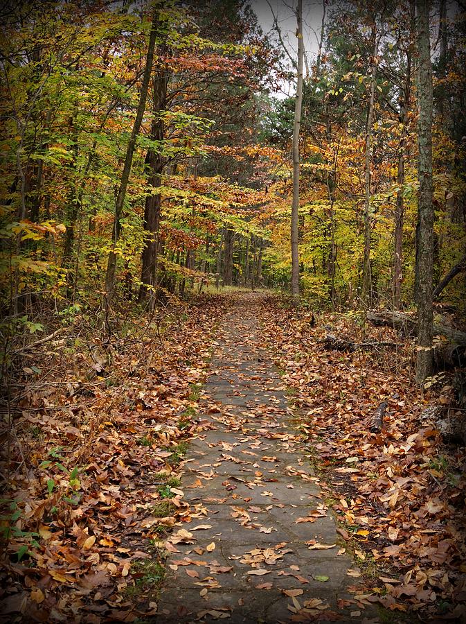 Fall Photograph - Rim Rock Path by Sandy Keeton