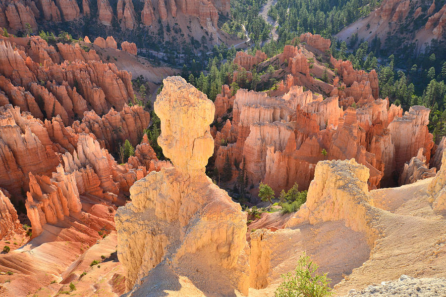 Rim Trail Hoodoos Photograph by Ray Mathis