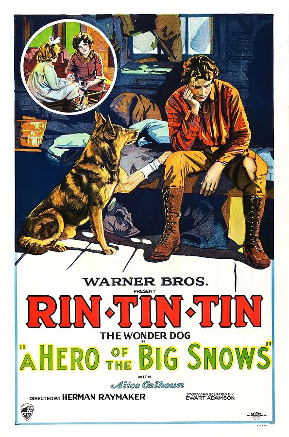 Movie Drawing - Rin Tin Tin 1926 by Mountain Dreams