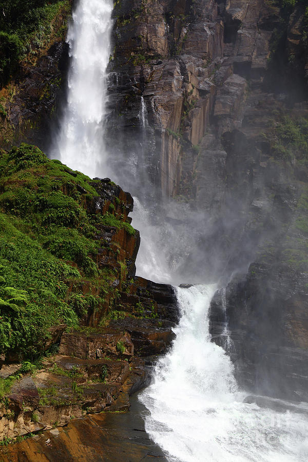 Rincon Del Tigre Canyon Yungas Bolivia Photograph by James Brunker