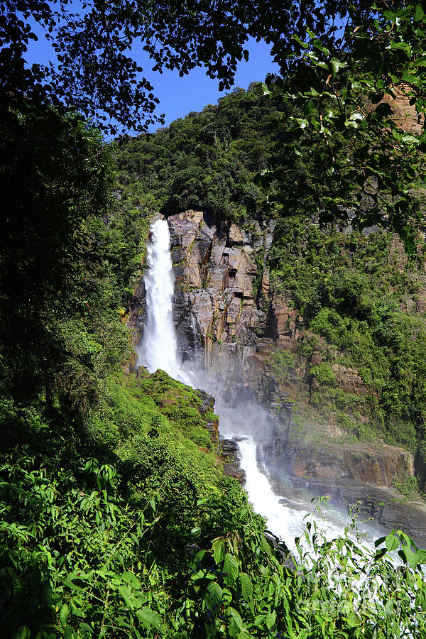 Rincon Del Tigre Waterfall Yungas Bolivia Photograph by James Brunker