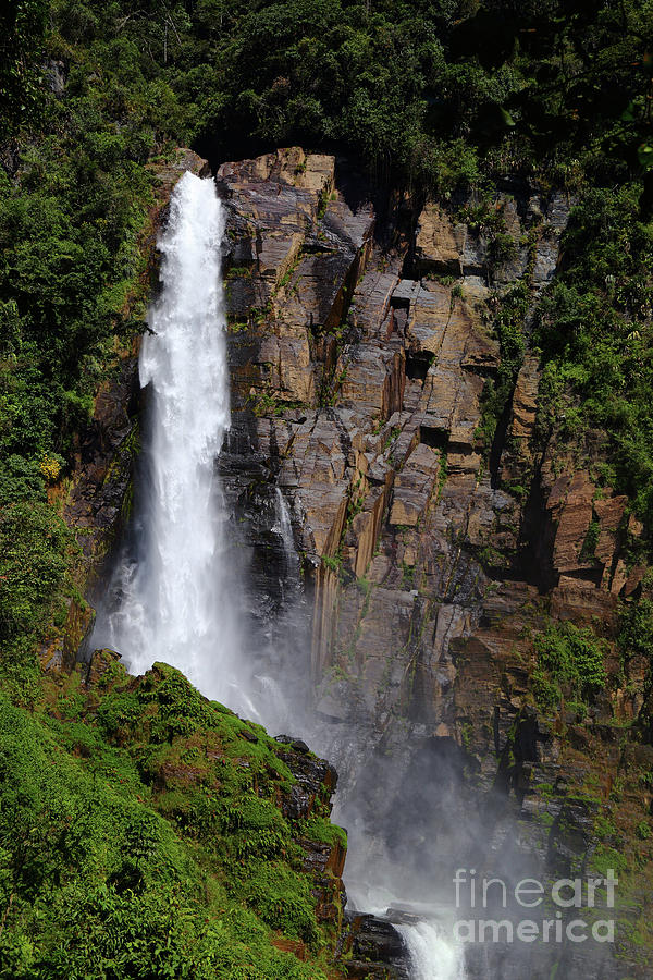 Rincon Del Tigre Waterfall Yungas Region Bolivia Photograph by James Brunker