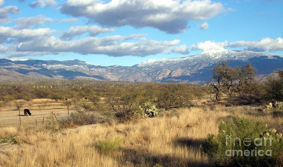 Rincon Valley Winter Photograph by Jerry Bokowski