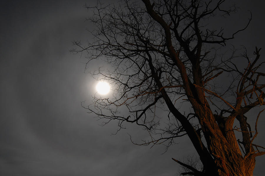 Ring Around Moon Photograph by Alan Lenk