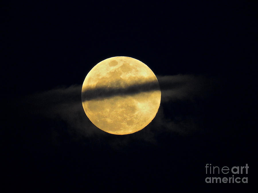 Ring Around The Moon Photograph