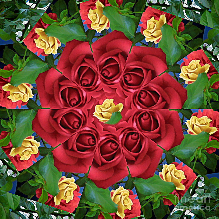 Ring Around The Roses Photograph by Renee Trenholm