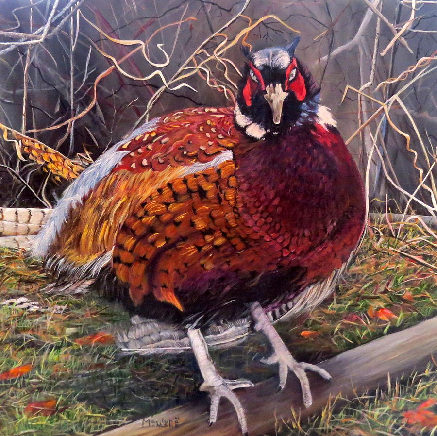 Ring Neck Pheasant Painting by Marilyn McNish