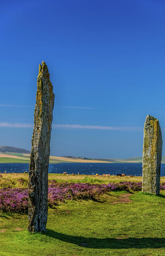 Ring of Brodgar #5 Photograph by Elvis Vaughn