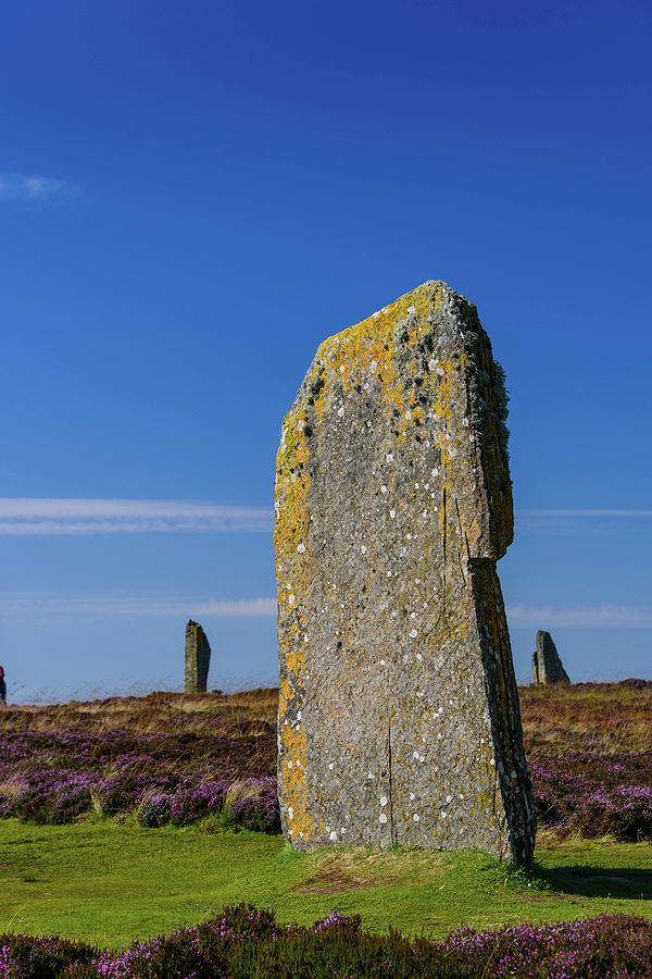 Ring of Brodgar Photograph by Elvis Vaughn