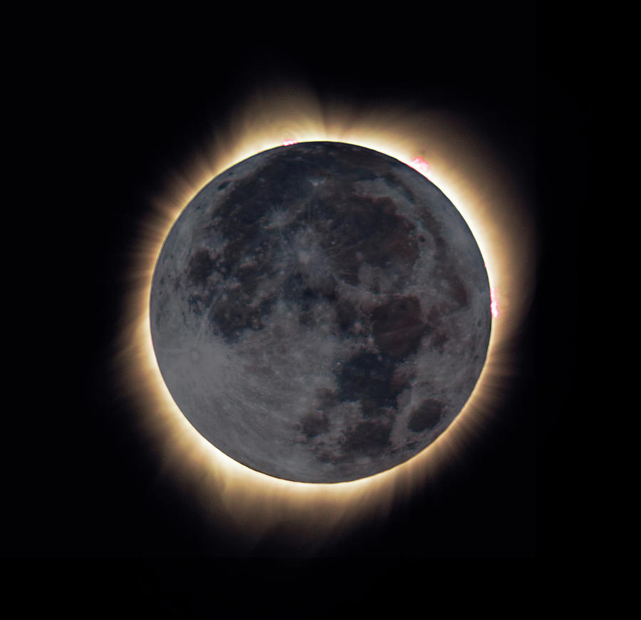 Eclipse Photograph - Ring Of Fire by Her Arts Desire