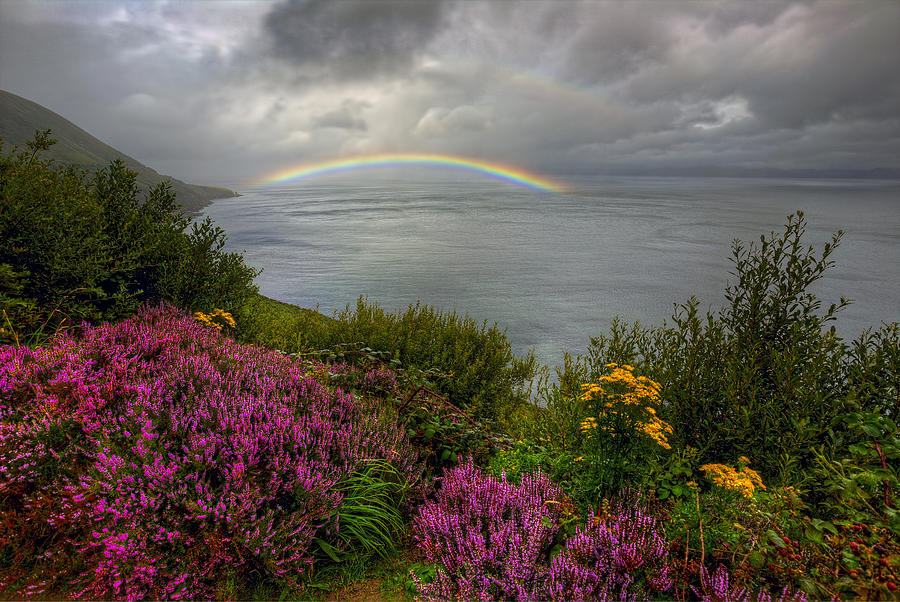 Ring of Kerry Ireland Photograph by Douglas Berry