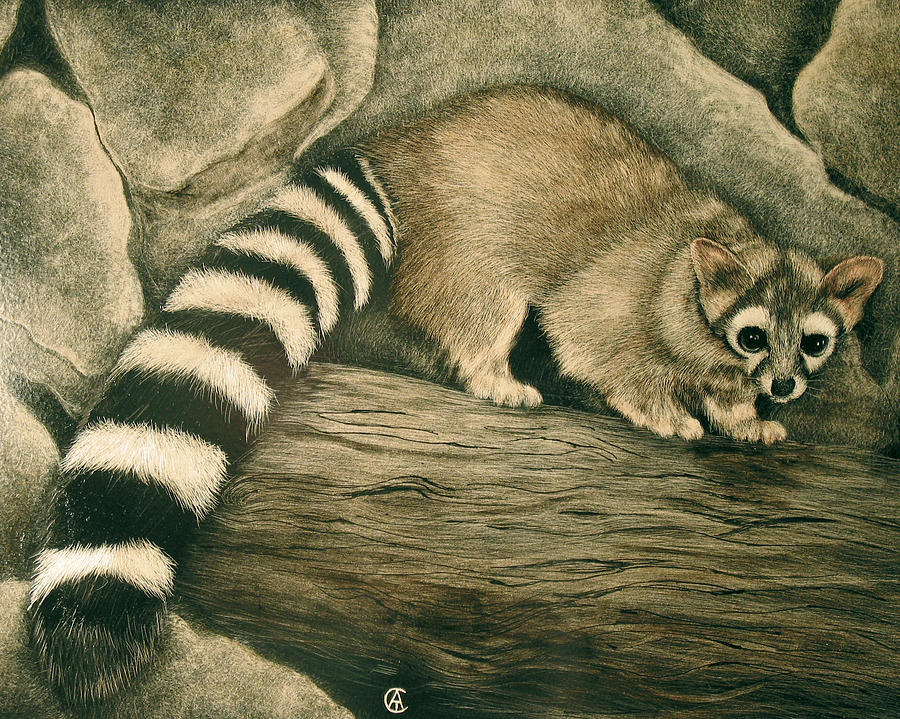 Ringtail Cat Painting by Angie Cockle