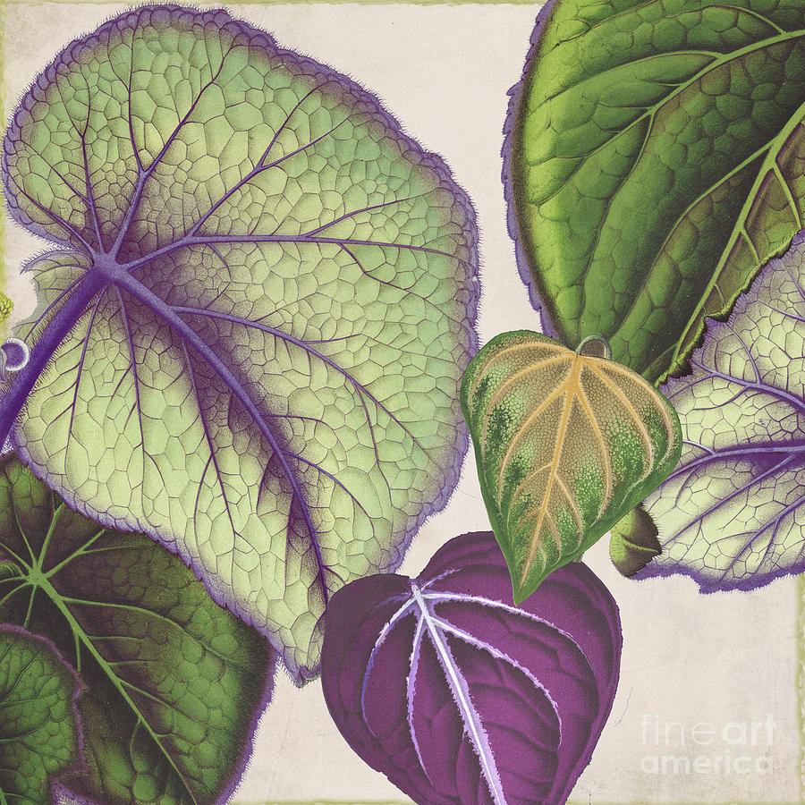 Begonia Painting - Rio V by Mindy Sommers