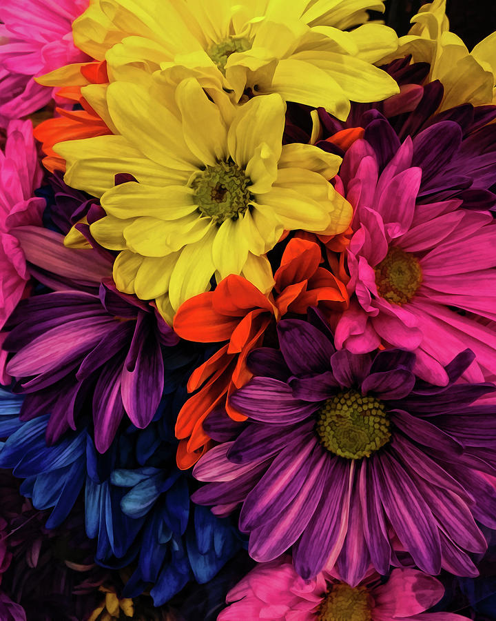 Flowers Photograph - Riot Of Color by Jessica Manelis Flowers Photograph - Riot Of Color by Jessica Manelis