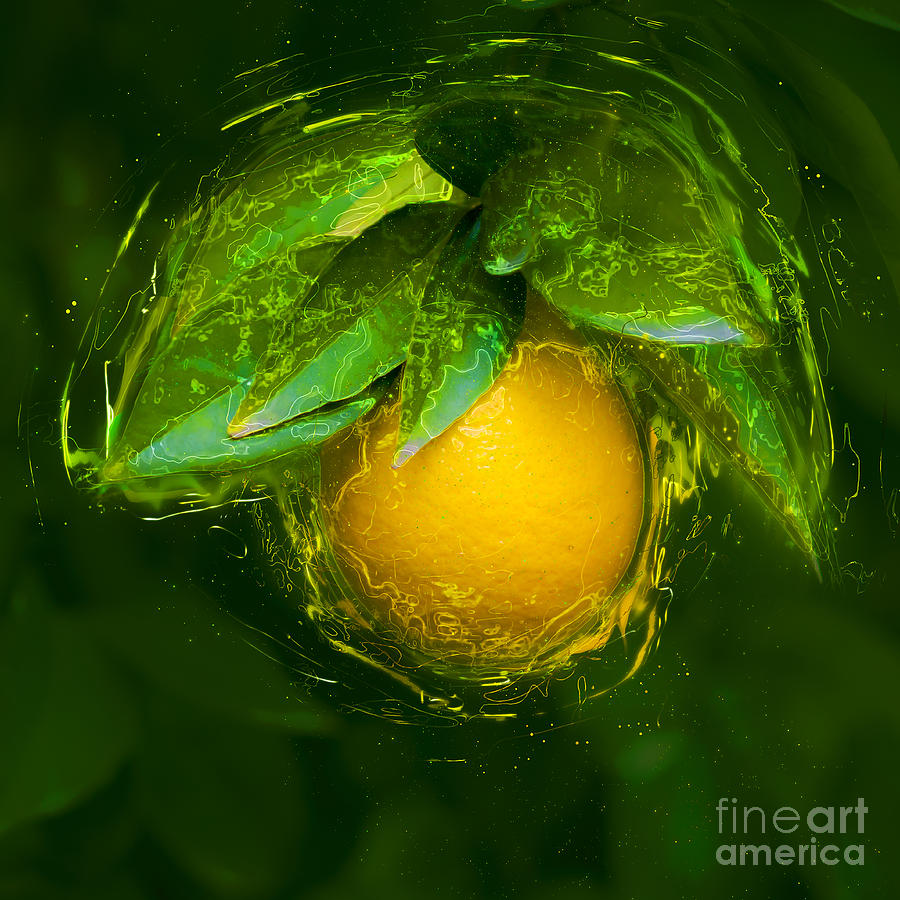 Ripe orange on a tree  Photograph by Ilan Rosen