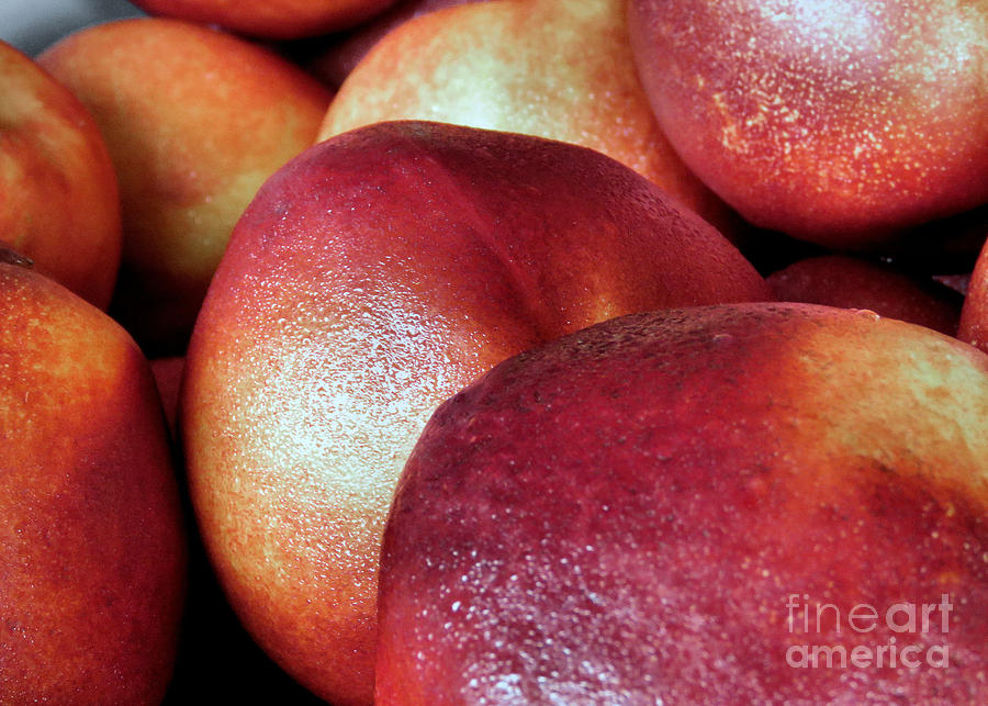 Ripe Peaches Photograph by Janice Drew
