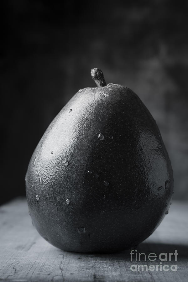 Black And White Photograph - Ripe Pear Black and White by Edward Fielding