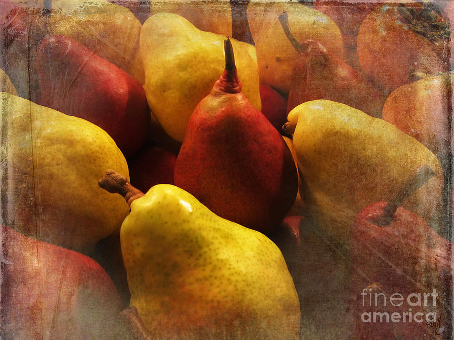 Ripe Pears Photograph by Victoria Harrington