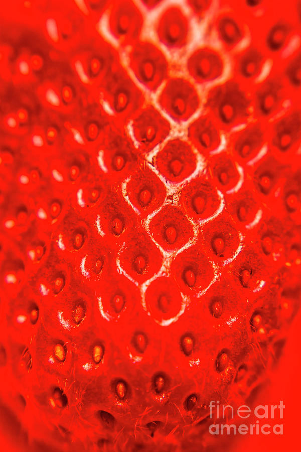 Ripe Red Fresh Strawberry Texture And Detail Photograph