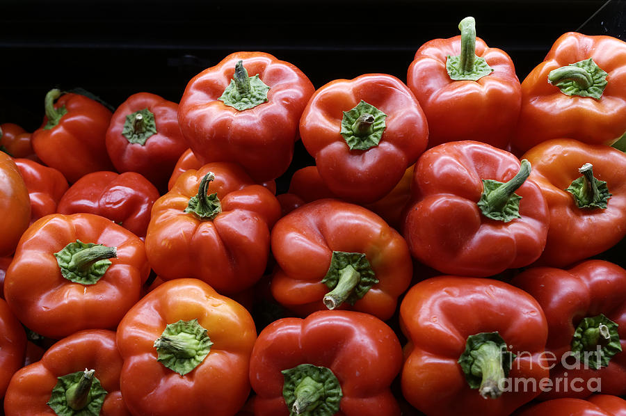Ripe Red Peppers Photograph by John  Mitchell