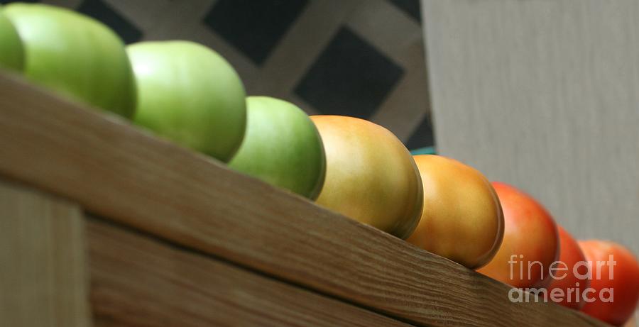 Ripening Photograph by Barbara S Nickerson