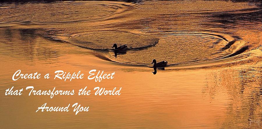 ripple effect quotes