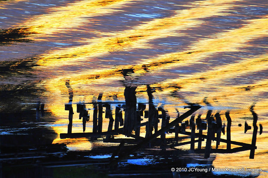 Ripple Photograph - Ripple Effects of the Day by JCYoung MacroXscape Ripple Photograph - Ripple Effects of the Day by JCYoung MacroXscape